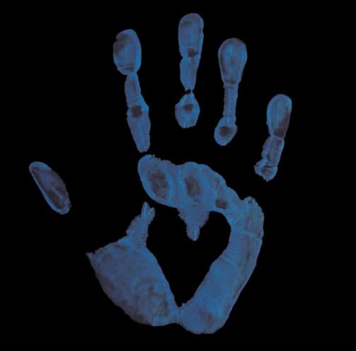 Visual of human hand print